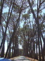 Click To View This Image