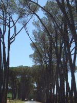 Click To View This Image