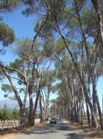 Click To View This Image