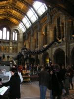 Click To View This Image