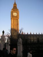 Click To View This Image