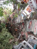 Click To View This Image