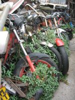 Click To View This Image