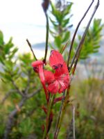 Click To View This Image