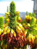 Click To View This Image