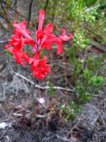 Click To View This Image