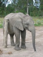 Click To View This Image