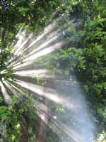 Click To View This Image