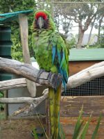 Click To View This Image