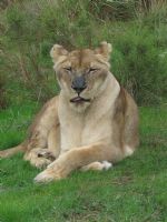 Click To View This Image