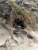 Click To View This Image