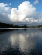 Click To View This Image