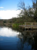 Click To View This Image