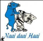 Click To View This Image