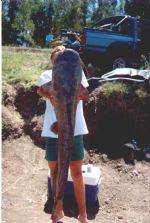 Click To View This Image