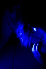 Click To View This Image