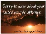 Click To View This Image