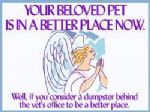 Click To View This Image