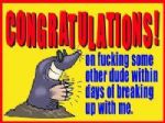 Click To View This Image