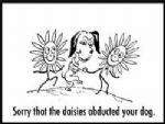 Click To View This Image