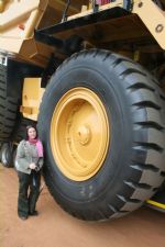 Click To View This Image