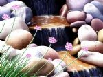 Click To View This Image