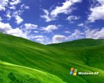 Click To View This Image