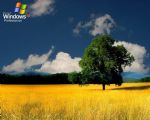 Click To View This Image