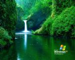 Click To View This Image