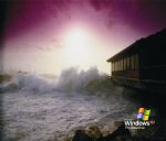 Click To View This Image