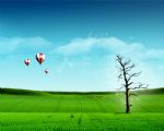Click To View This Image