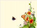 Click To View This Image