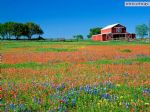 Click To View This Image