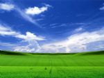 Click To View This Image