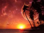 Click To View This Image