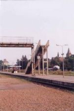 Click To View This Image