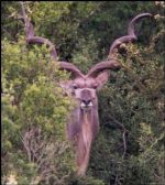 Click To View This Image