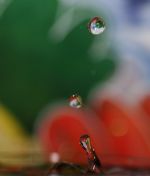 Click To View This Image