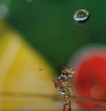 Click To View This Image