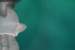 Click To View This Image