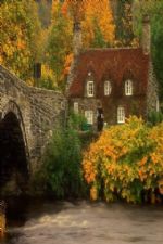 Click To View This Image