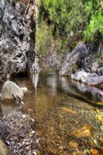 Click To View This Image