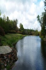 Click To View This Image