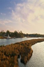 Click To View This Image