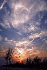 Click To View This Image