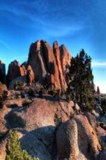 Click To View This Image