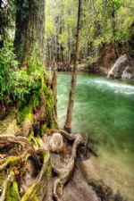 Click To View This Image