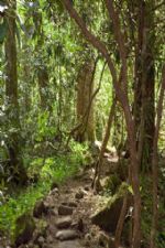 Click To View This Image