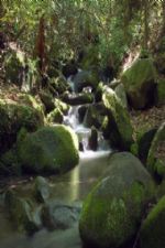 Click To View This Image