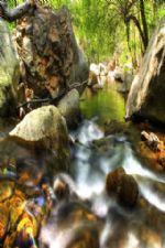 Click To View This Image